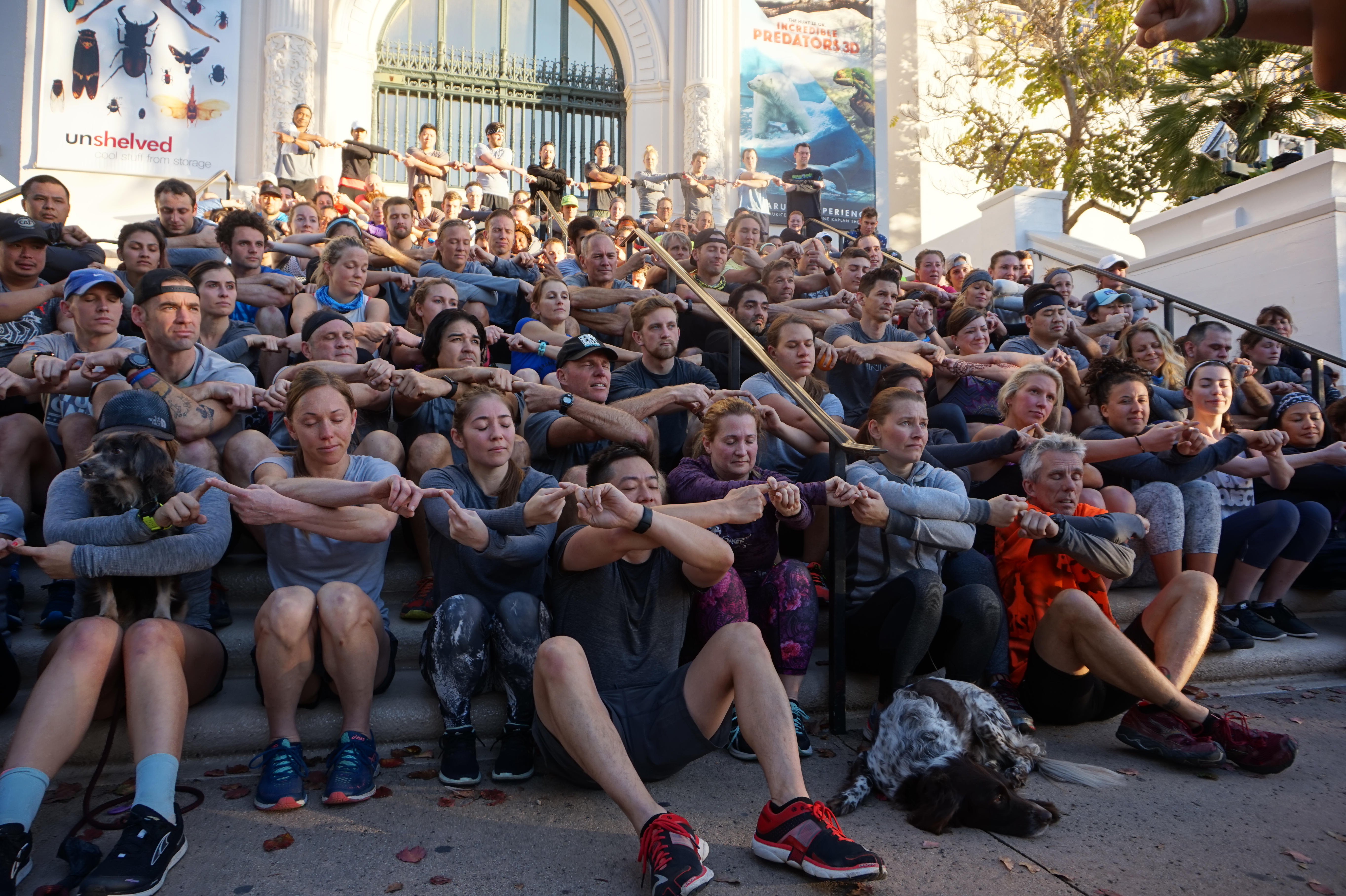 The Grey Zone November Project