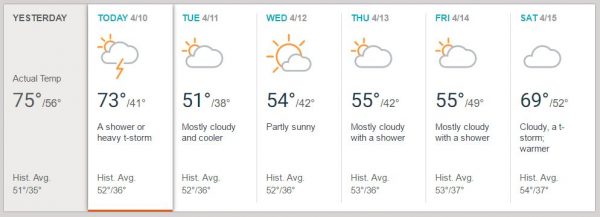 Forecast
