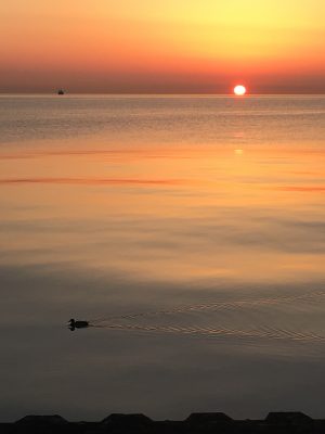 IMG_1977